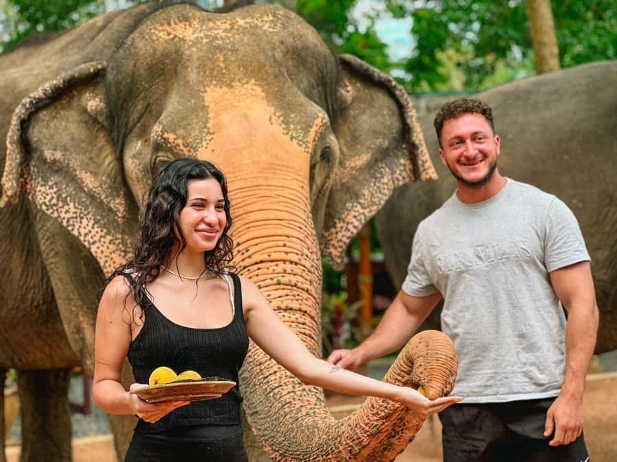 Koh Samui: Ethical Elephant Home Guided Tour with Transfers - Who should book this Koh Samui elephant home tour