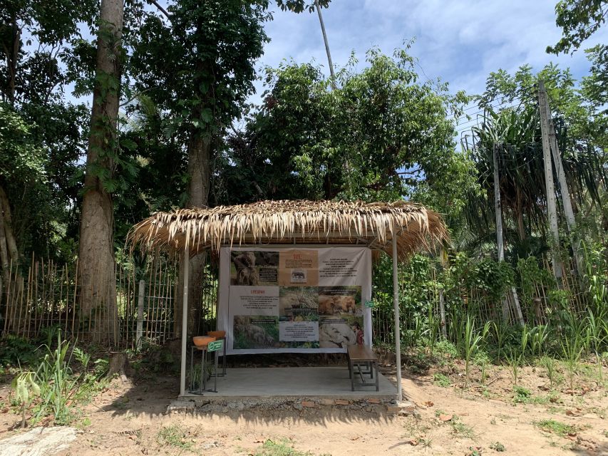 Koh Samui: Ethical Elephant Sanctuary Tour with Buffet Lunch - Lunch time: traditional Thai buffet meals with a front-row view