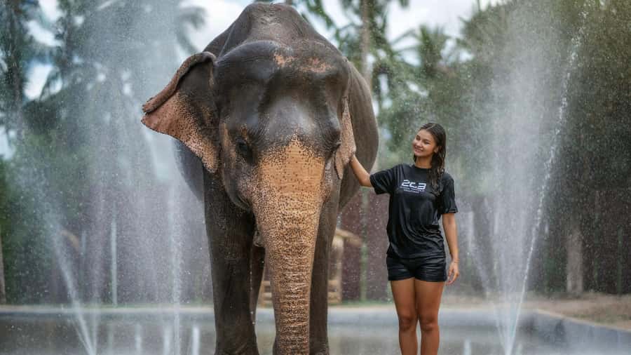 Koh Samui: Feed & Shower with Elephants Experience - At the Elephant Jungle Sanctuary: what the sanctuary-style visit really means