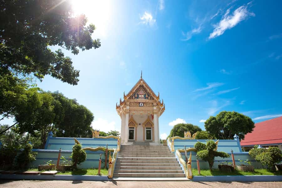 Koh Samui: Half Day City Tour with Hotel Pickup - How the 5-hour Koh Samui loop really feels