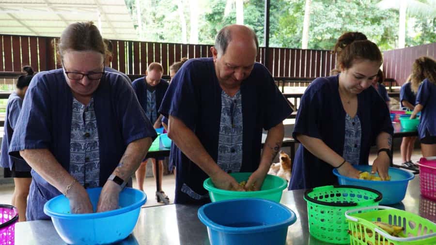 Koh Samui: Half-Day Ethical Elephant Sanctuary with Mud Spa - Key highlights worth clearing your schedule for