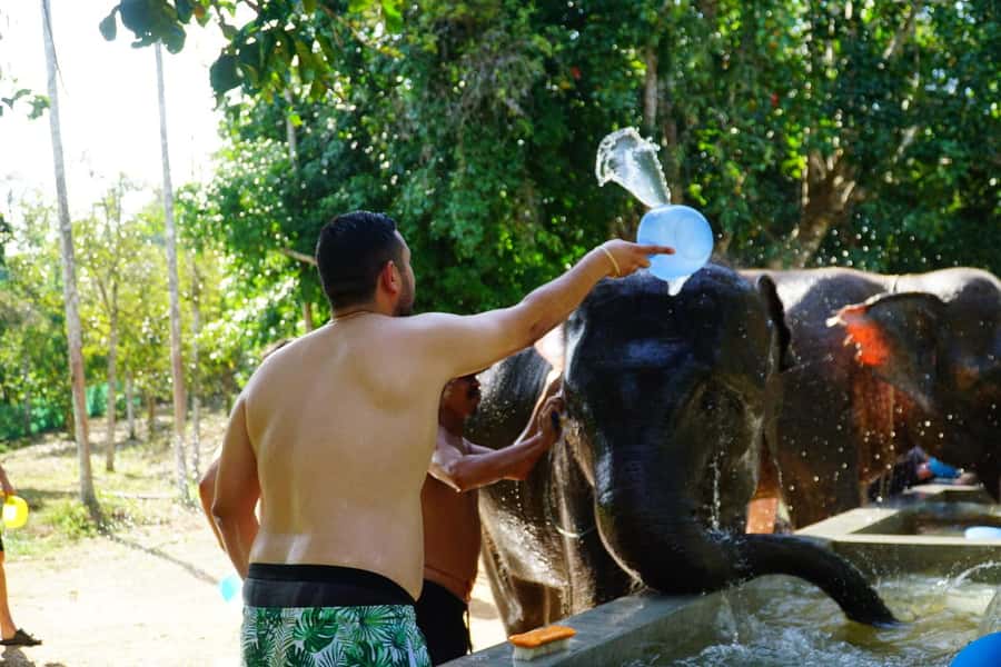 Koh Samui: Half-Day Ethical Elephant Sanctuary with Mud Spa - Who this tour suits best (and who might want a different day)