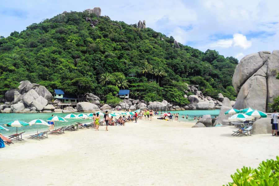 Koh Samui: Koh Tao and Nangyuan Snorkeling Tour with Lunch - Nangyuan Island: sunbathing time plus more swimming in clear water