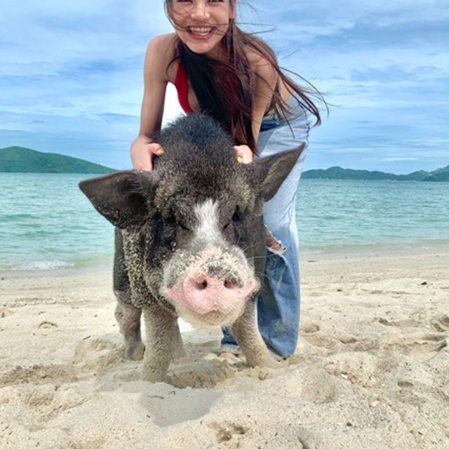 Koh Samui: Pig Island Tour by Speedboat with Snorkeling - Snorkeling at Koh Tan: clear water, included gear, and boat traffic reality