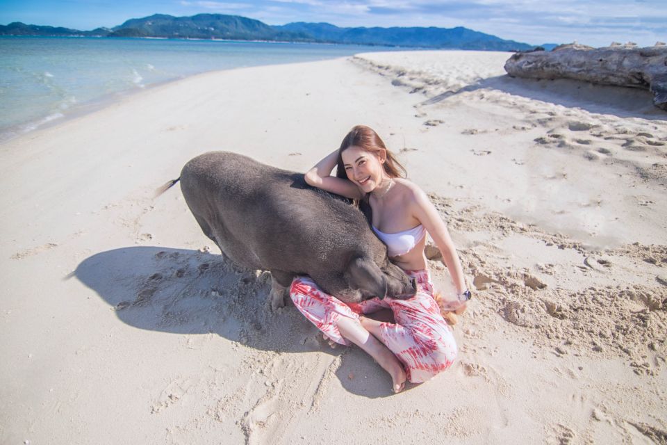 Koh Samui: Pig Island Tour by Speedboat with Snorkeling - Small rules and on-board comforts that make the day better