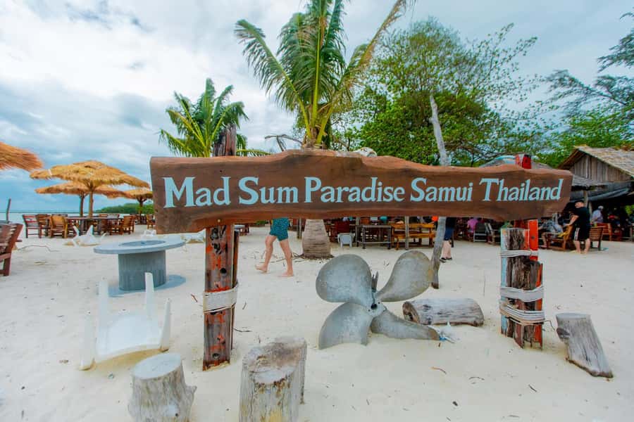 Koh Samui: Pink Dolphin Spotting & Pig Island Speedboat Tour - Raja Ferry and the speedboat ride: where dolphins are won or lost