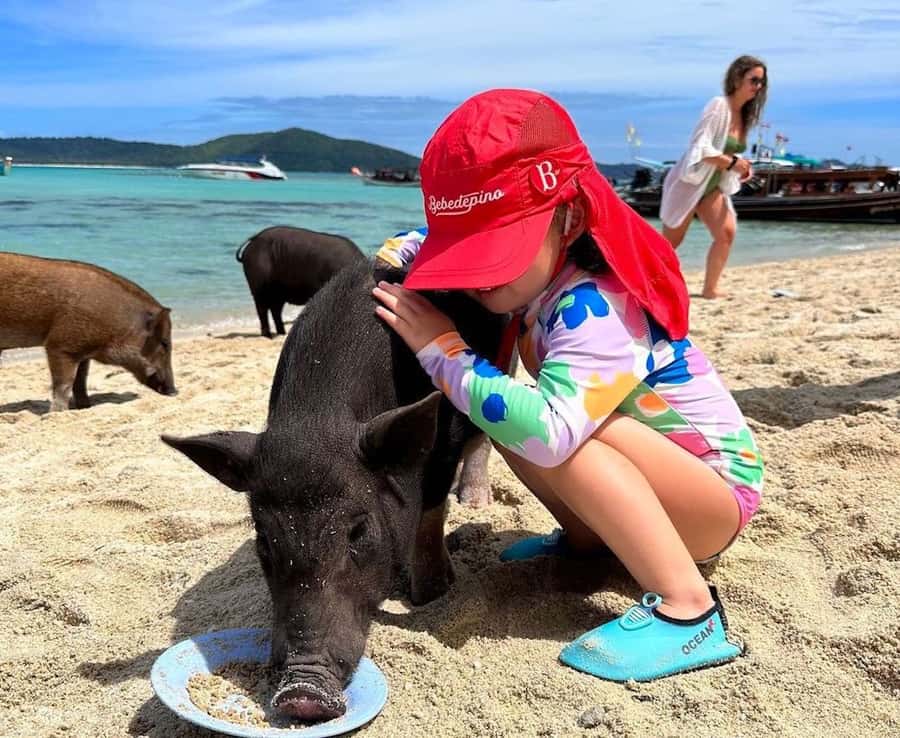 Koh Samui: Private Longtail Boat to Pig Island with Snorkel - Who This Tour Suits (And Who Should Skip It)