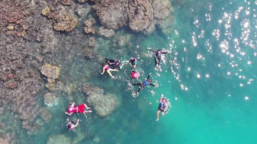 Koh Samui: Sunset Pig Island and Snorkeling Koh Tan w/Dinner - Key things to know before you go