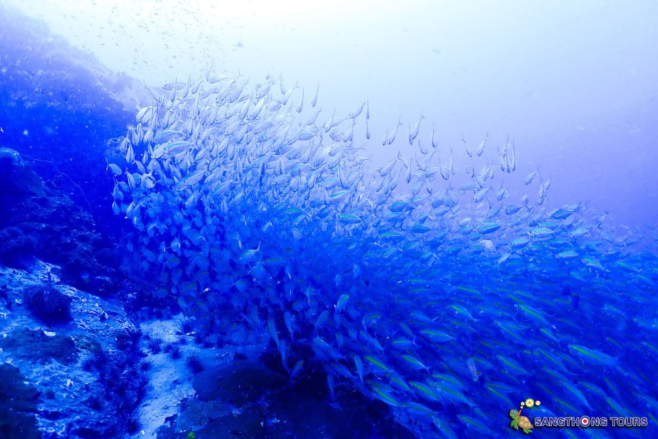 Koh Tao: Islands Snorkeling Highlights Day Tour & Lunch - Price and value: why this $27 day tour can still feel like a bargain