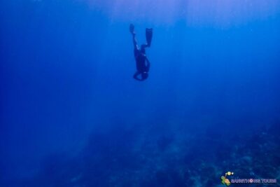 Koh Tao: Islands Snorkeling Highlights Day Tour & Lunch - Koh Nangyuan viewpoint: the hike that turns the day into more than snorkeling