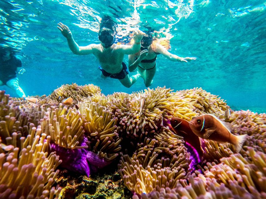 Koh Tao: Koh Nangyuan and the Hidden Bays Trip by the Oxygen - Should you book this Koh Nang Yuan and Hidden Bays trip with Oxygen?