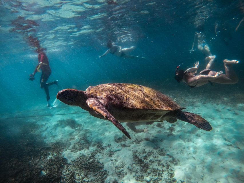 Koh Tao: Koh Nangyuan and the Hidden Bays Trip by the Oxygen - The snorkel stops you’ll actually remember