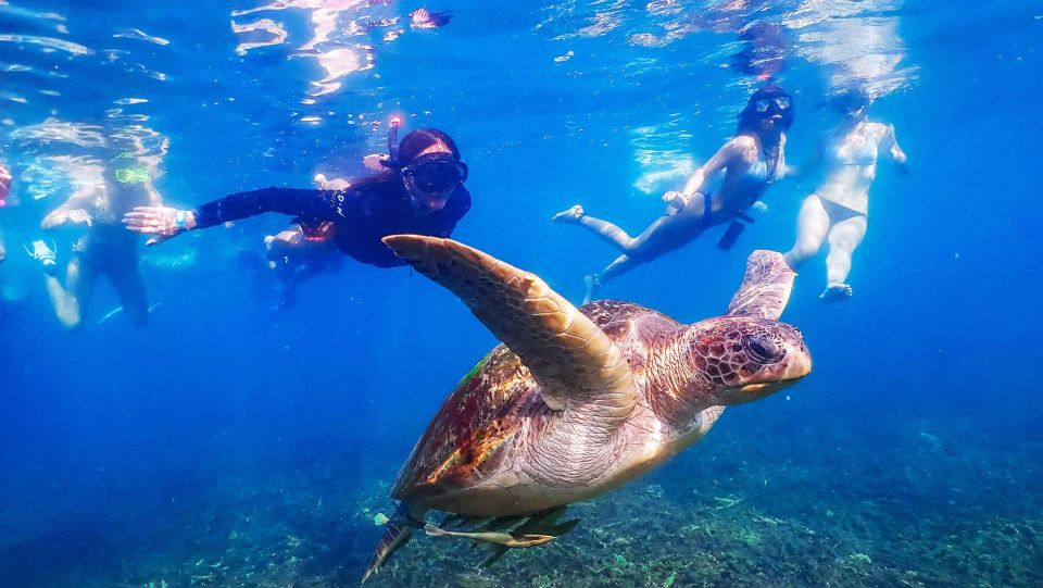 Koh Tao: Koh Nangyuan and the Hidden Bays Trip by the Oxygen - Lunch, gear, and the small comforts that matter