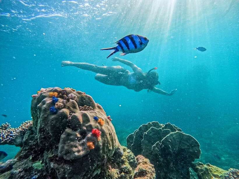 Koh Tao: Koh Nangyuan & Hidden Bays Snorkeling Tour w/ Lunch - Koh Nang Yuan’s tiny-island setup makes snorkeling feel easy