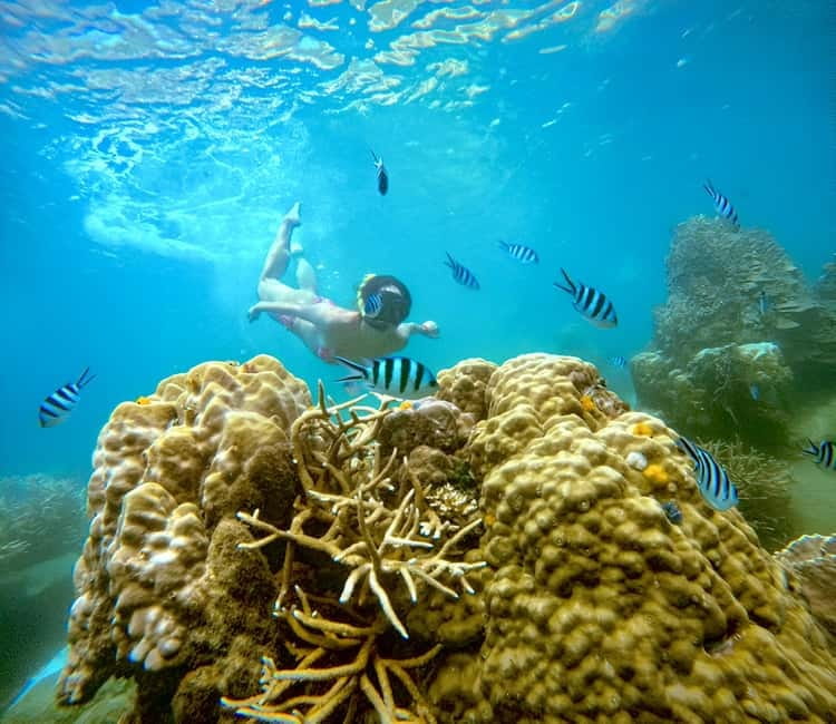 Koh Tao: Snorkeling Trip to Nang Yuan Island & Hidden Bays - The boat setup: slide, climbing wall, and floating beds between swims