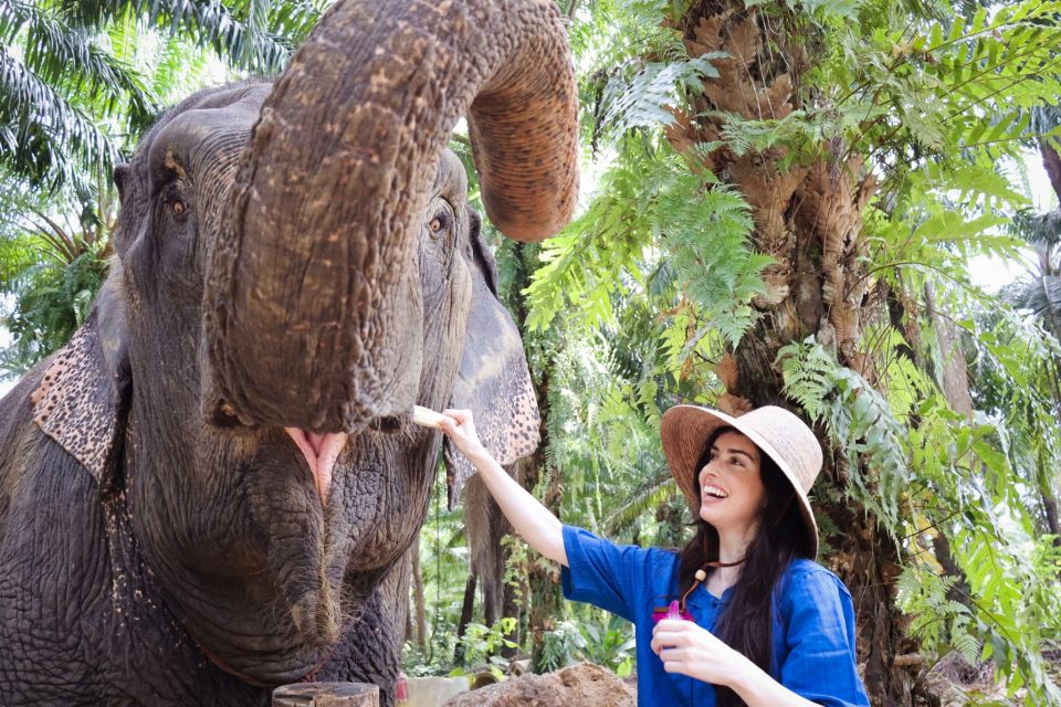 Krabi: Elephant Bathing Session at Krabi Elephant Shelter - Key Points I Think You’ll Care About