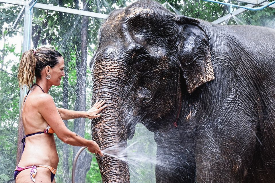 Krabi: Elephant Bathing Session at Krabi Elephant Shelter - Krabi Elephant Bathing Session: What It Actually Feels Like
