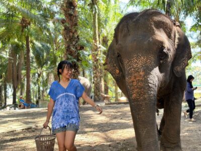 Krabi: Elephant Bathing Session at Krabi Elephant Shelter - The Pickup and Transit: Easy When You’re in the Right Area