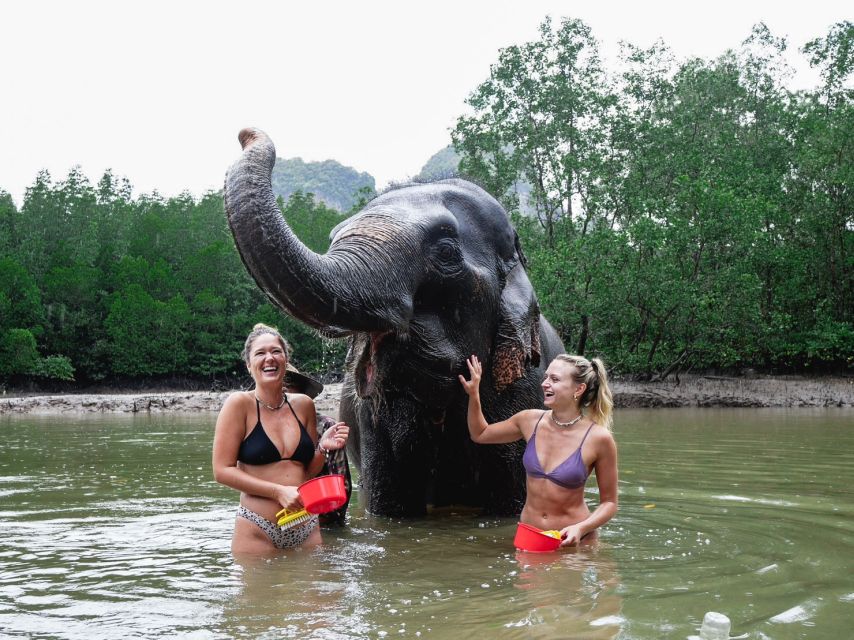 Krabi: Elephant Bathing Session at Krabi Elephant Shelter - Entering the Shelter Flow: What Happens When You Arrive