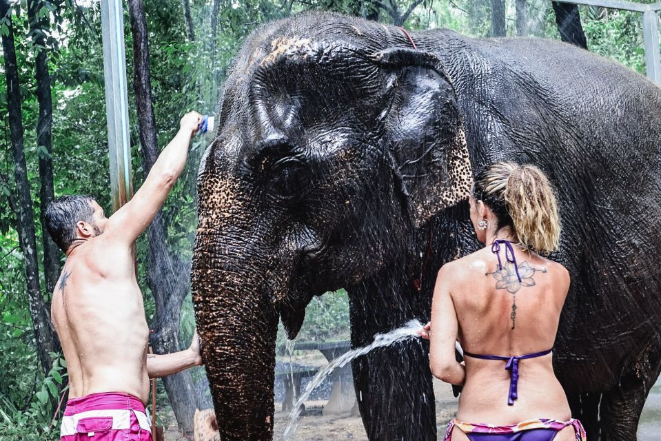 Krabi: Elephant Bathing Session at Krabi Elephant Shelter - The Shower Routine: Why This Isn’t Just a Wading Pool