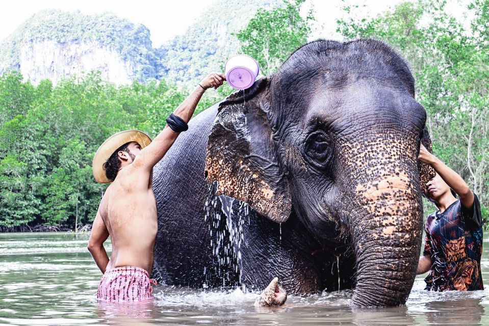 Krabi: Elephant Bathing Session at Krabi Elephant Shelter - Photo Moments With the Team: Helpful, Fast, and Less Awkward Than You’d Think