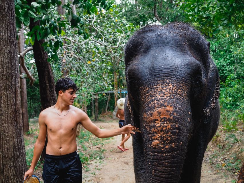 Krabi: Elephant Bathing Session at Krabi Elephant Shelter - What You Get Included for $48: The Value Logic