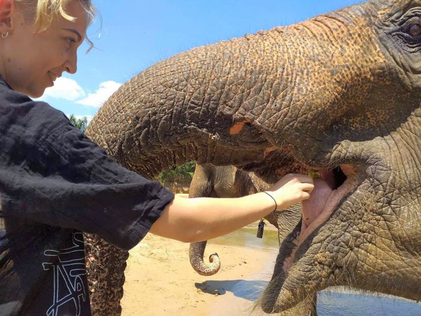 Krabi: Elephant Care House Guided Tour with Hotel Transfers - Key Things That Make This Tour Worth Your Time