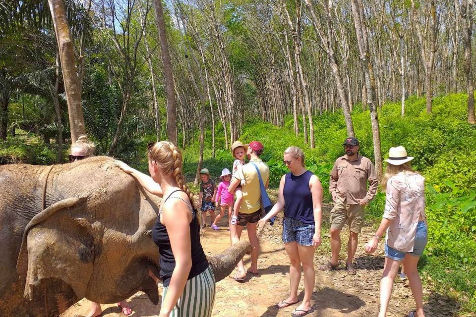 Krabi: Elephant Care House Guided Tour with Hotel Transfers - The 4-Hour Flow: Safety Briefing, Walk, Camp Time, Refreshments