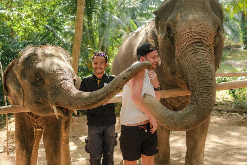 Krabi: Elephant Sanctuary (near Ao Nang) Visit - Love Elephant Sanctuary Krabi: what the 30-minute visit feels like