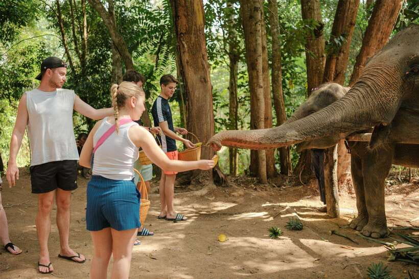 Krabi: Elephant Sanctuary (near Ao Nang) Visit - The Ao Nang pickup you’ll be glad you don’t have to arrange