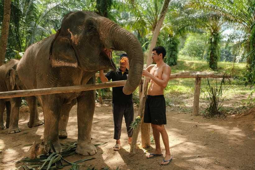 Krabi: Elephant Sanctuary (near Ao Nang) Visit - Photos with elephants: close, but with boundaries that make sense