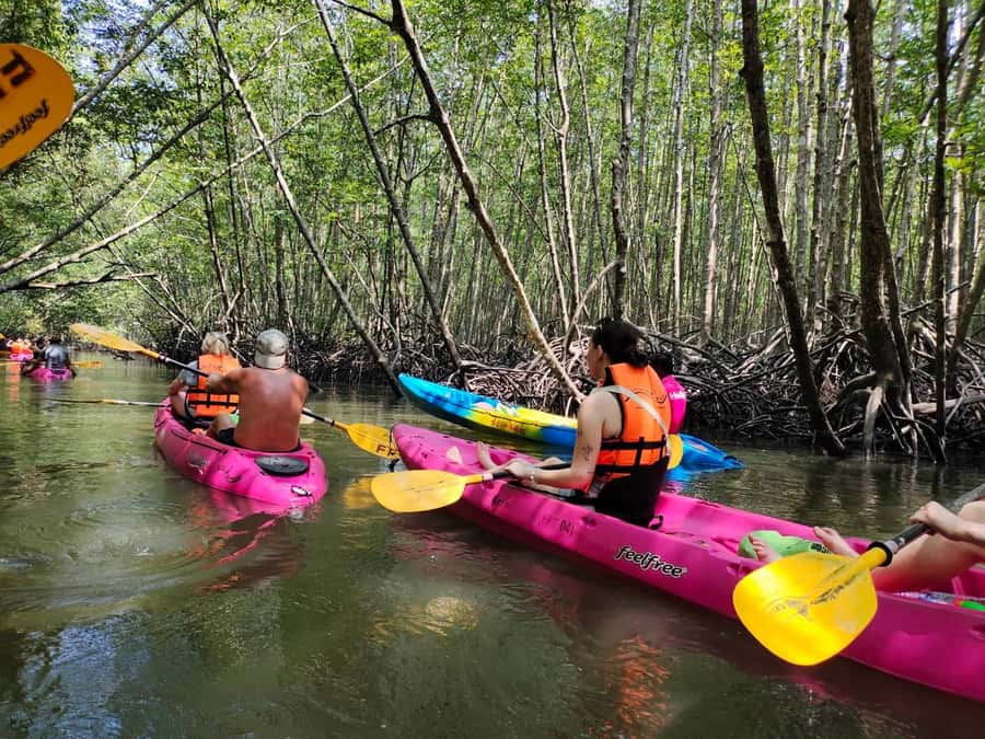 Krabi: Half-Day Kayak Adventure at Ao Thalane - Ao Thalane mangroves: why this kayak route is worth your time