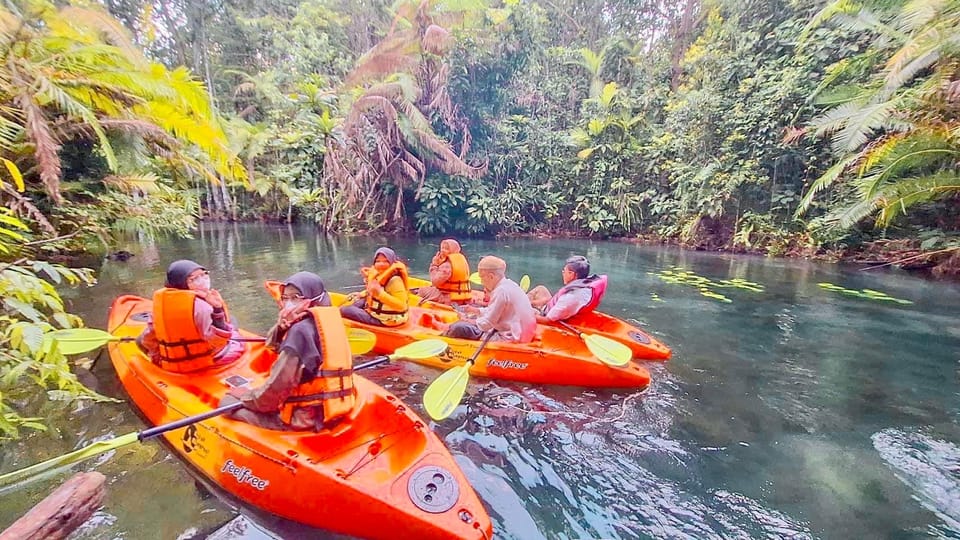 Krabi kayaking and swimming clongrood Tour - Key points before you go