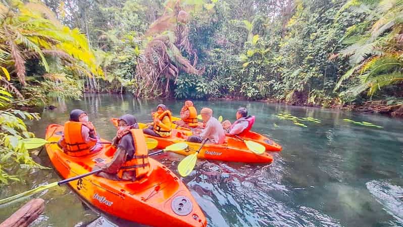Krabi kayaking and swimming clongrood Tour - Kayaking through rainforest shade: your guide makes it easier