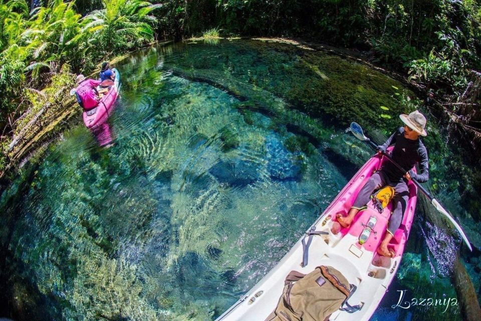 Krabi kayaking and swimming clongrood Tour - The swimming moment: cool freshwater streams and what to expect