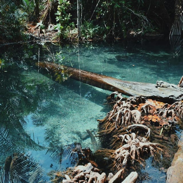 Krabi kayaking and swimming clongrood Tour - The tuk-tuk ride from Ao Nang: simple, scenic, and fast to start