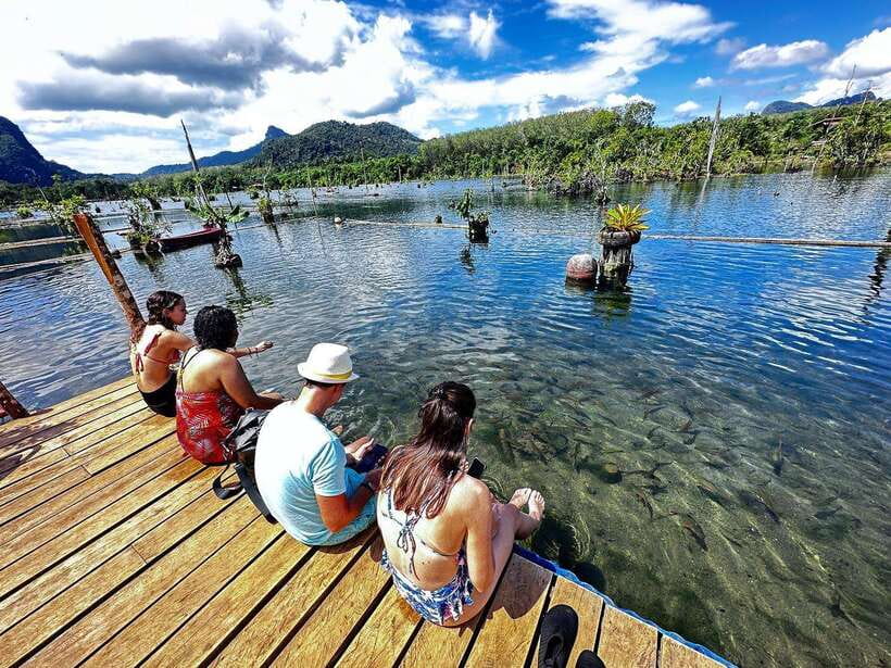 Krabi: Klong Root (Crystal lake) Kayaking tour - Morning vs afternoon vs sunset: how to choose your best timing
