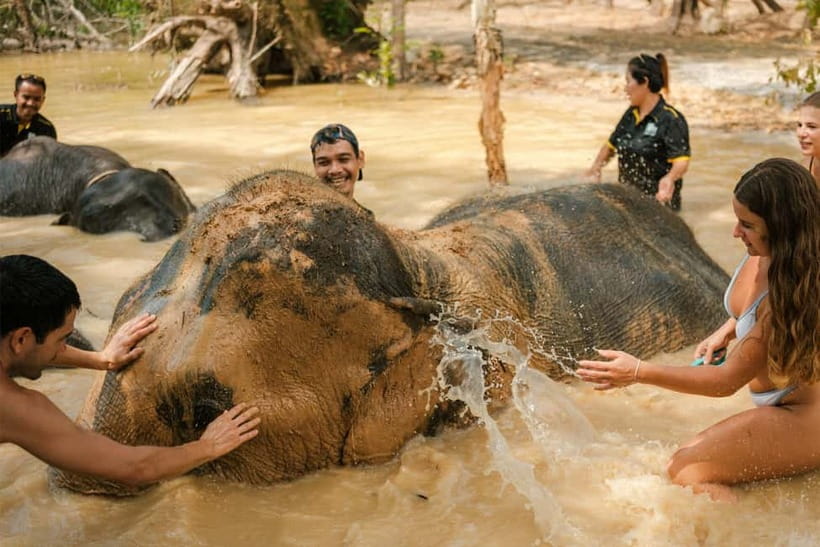 Krabi: Love Elephant Sanctuary Tour - Ancient Elephant Tools: Why That Demo Isn’t Just a Side Show