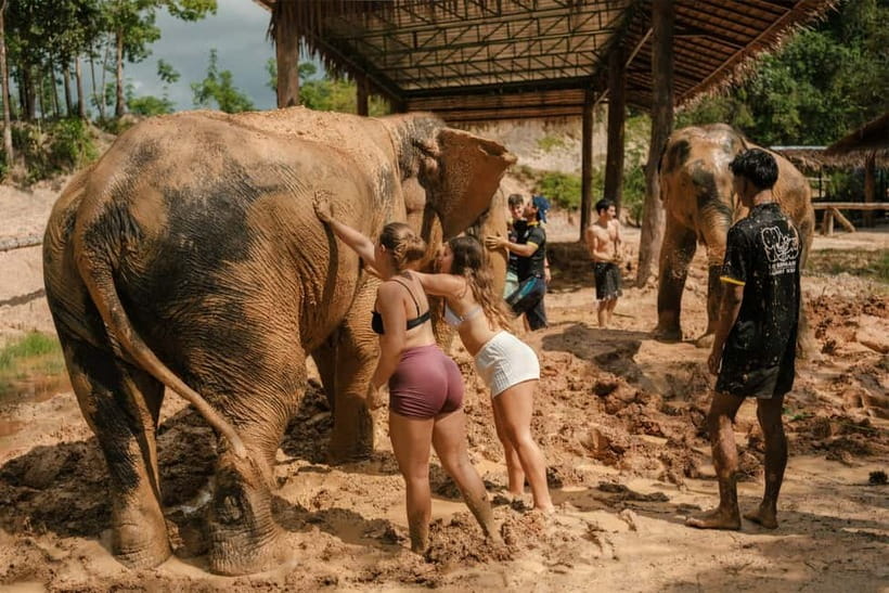 Krabi: Love Elephant Sanctuary Tour - Fruit Prep and Feeding: Getting It Right Without Being Reckless