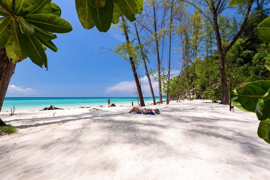 Krabi: Phi Phi & 4 Islands Sunset Tour by Speedboat - Ko Phi Phi Lee and Viking Cave: limestone scenery plus more water time