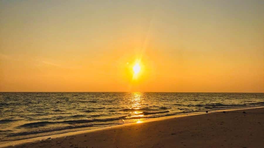 Krabi: Phi Phi Early Bird & 4 Island by Speedboat with Lunch - Key highlights you should circle
