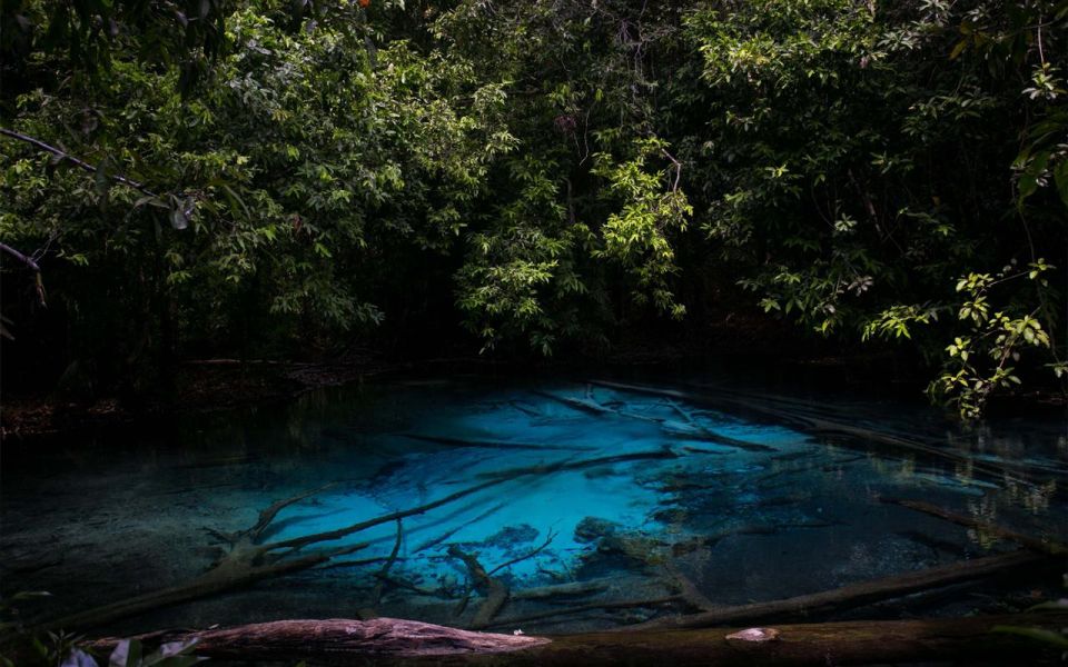 Krabi: Tiger Cave, Hot Springs and Emerald Pool Jungle Tour - Key things you’ll notice right away