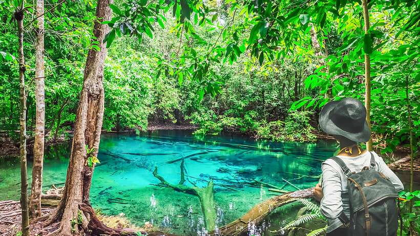 Krabi: Tiger Cave Temple, Emerald Pool and Hot Springs Tour - Quick highlights