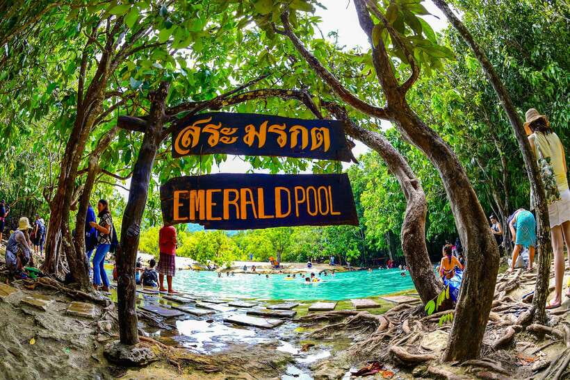 Krabi: Tiger Cave Temple, Emerald Pool and Hot Springs Tour - Lunch break: a simple local meal stop (and what it usually costs)