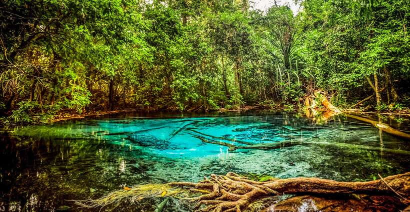 Krabi: Tiger Cave Temple, Emerald Pool and Hot Springs Tour - Small-group touring and GSTC-style lower impact