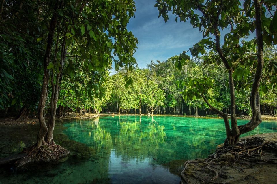 Krabi: Tiger Temple, Hot Springs & Crystal Pool Jungle Tour - Key things I’d plan around before you go