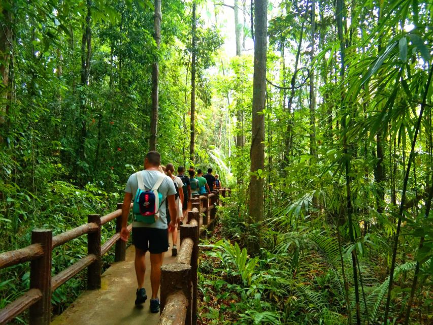 Krabi: Tiger Temple, Hot Springs & Crystal Pool Jungle Tour - Hotel pickup, drop-offs, and where the day starts