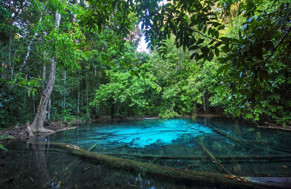 Krabi: Tiger Temple, Hot Springs & Crystal Pool Jungle Tour - Pacing and crowds: how the day can feel in real time