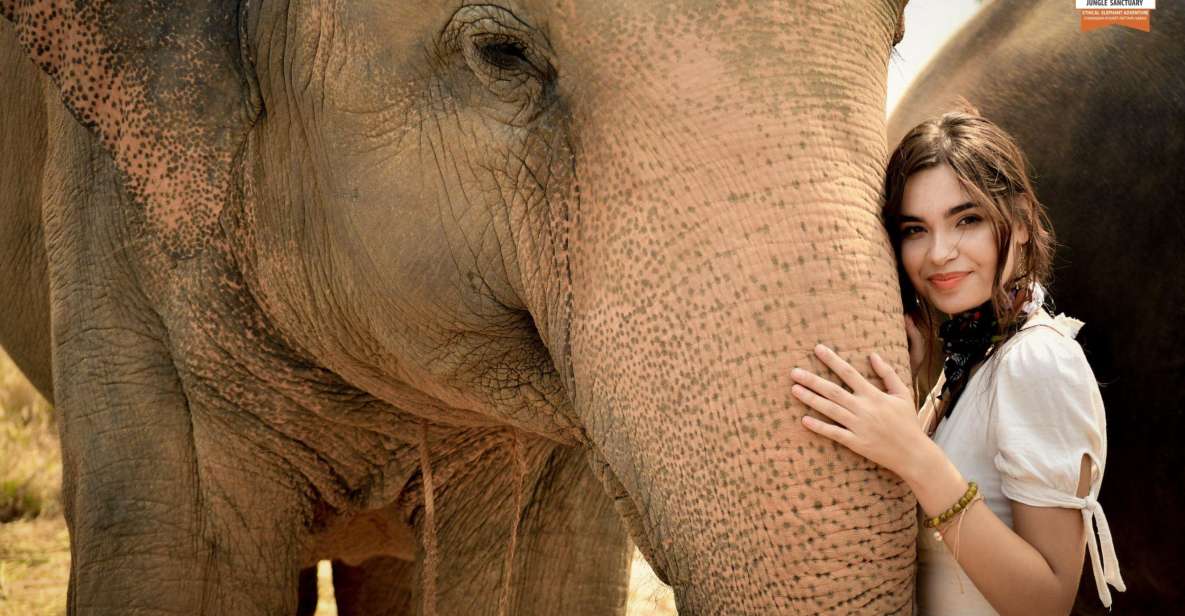 Pattaya: Elephant Jungle Sanctuary Feeding Experience - Price and Time Value: Is $28 a Fair Deal?