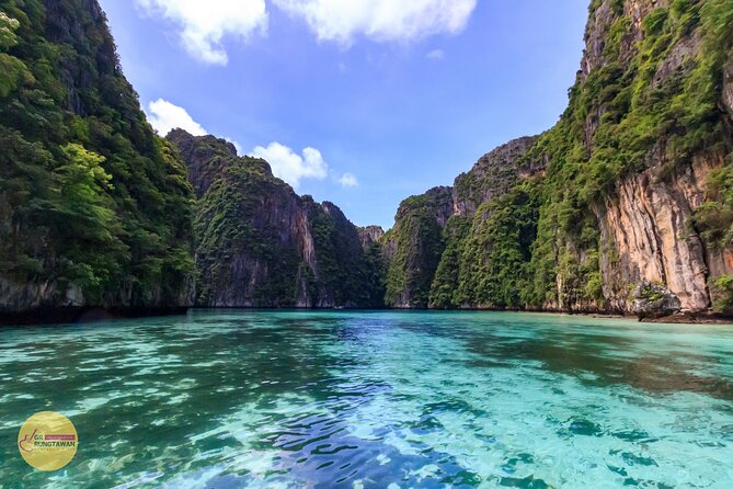 Phi Phi One Day Tour by Speed Boat from Ao Nang, Krabi - Monkey Beach and Bamboo Island: wildlife viewing and sand-and-sea payoff